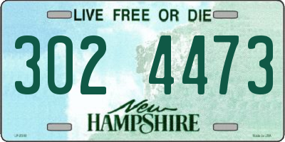 NH license plate 3024473