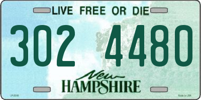 NH license plate 3024480