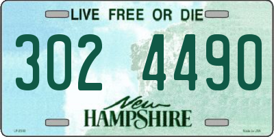 NH license plate 3024490