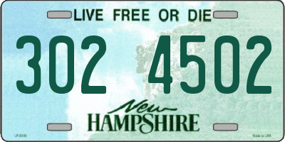 NH license plate 3024502