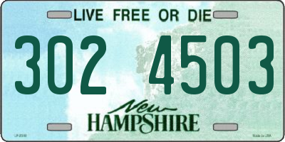 NH license plate 3024503
