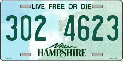 NH license plate 3024623