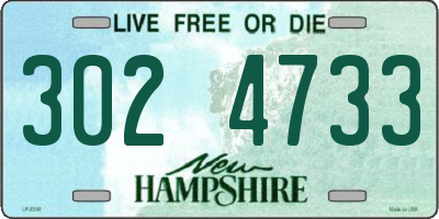 NH license plate 3024733