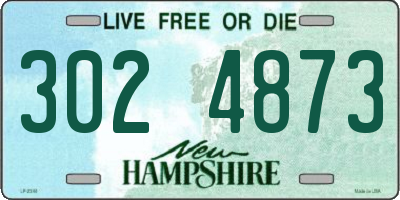 NH license plate 3024873