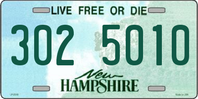 NH license plate 3025010