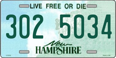 NH license plate 3025034
