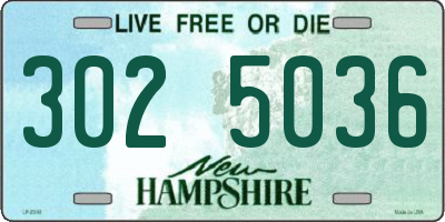 NH license plate 3025036