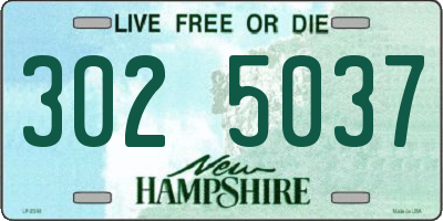 NH license plate 3025037