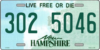 NH license plate 3025046
