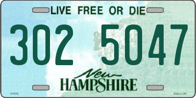 NH license plate 3025047