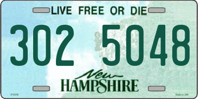 NH license plate 3025048