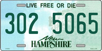 NH license plate 3025065