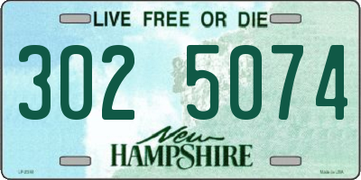 NH license plate 3025074