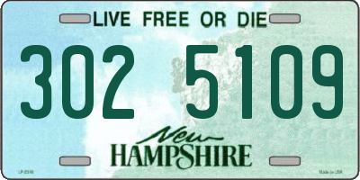 NH license plate 3025109