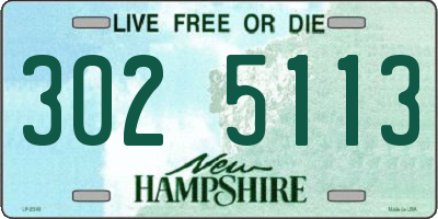 NH license plate 3025113