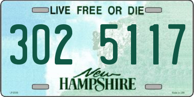 NH license plate 3025117