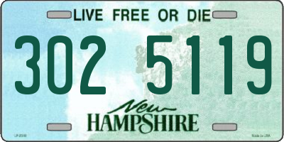NH license plate 3025119