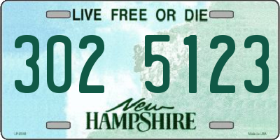NH license plate 3025123