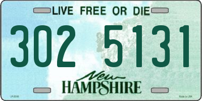NH license plate 3025131