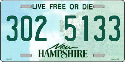 NH license plate 3025133