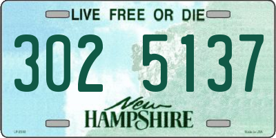 NH license plate 3025137