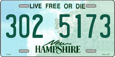 NH license plate 3025173