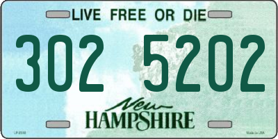 NH license plate 3025202