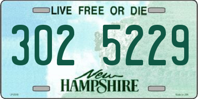 NH license plate 3025229