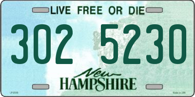 NH license plate 3025230