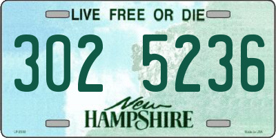 NH license plate 3025236