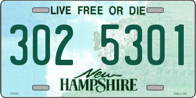 NH license plate 3025301
