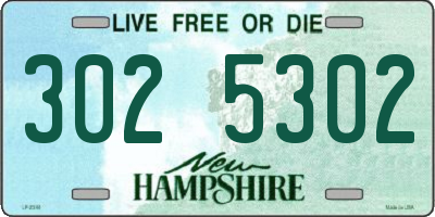 NH license plate 3025302