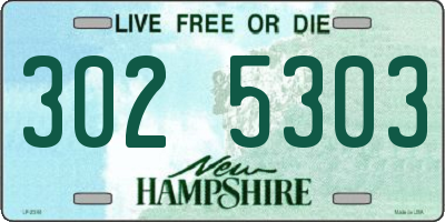 NH license plate 3025303