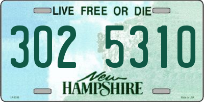 NH license plate 3025310