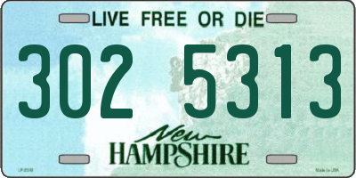 NH license plate 3025313
