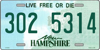 NH license plate 3025314