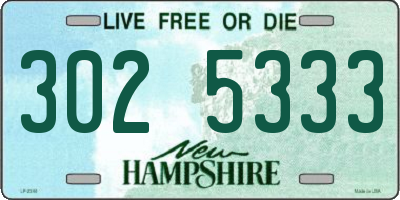 NH license plate 3025333
