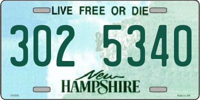 NH license plate 3025340