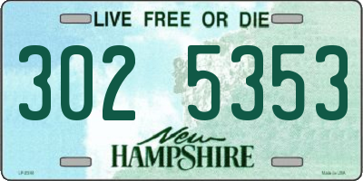NH license plate 3025353