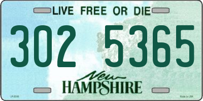 NH license plate 3025365