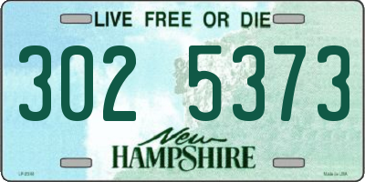 NH license plate 3025373