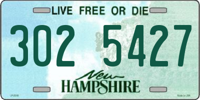 NH license plate 3025427