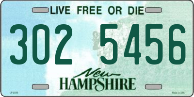 NH license plate 3025456