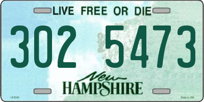 NH license plate 3025473