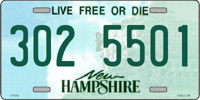NH license plate 3025501