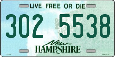 NH license plate 3025538