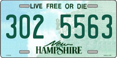 NH license plate 3025563
