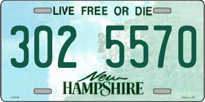 NH license plate 3025570