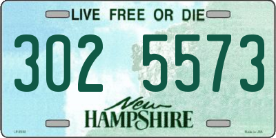 NH license plate 3025573