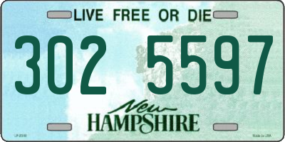 NH license plate 3025597